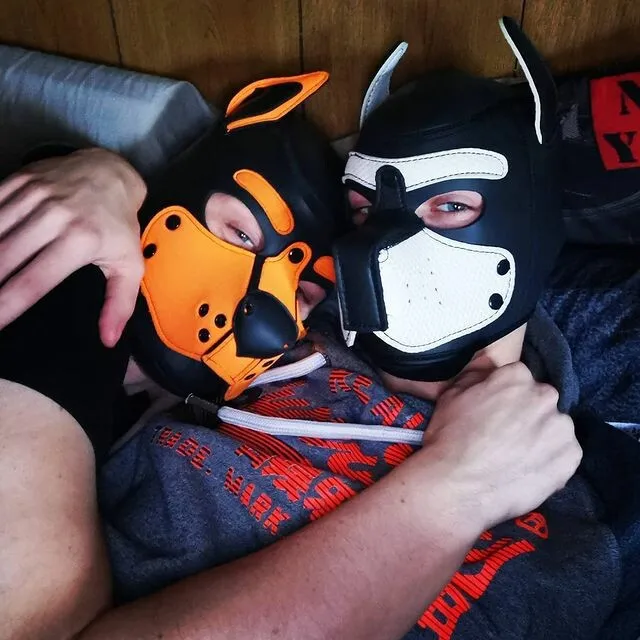 Apply to cosplay Props dog Head Neoprene Sponge Headgear fetish puppy play  pup hoods dog fetish-mask supplier