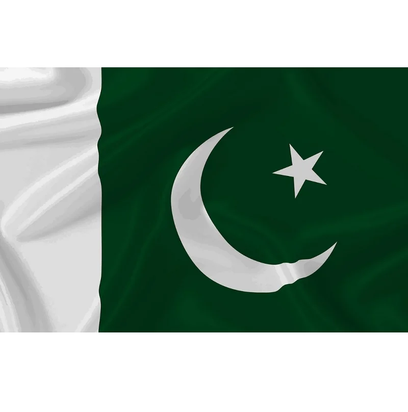 Good Quality Cheap Any Size Polyester Country National Pakistan Flag