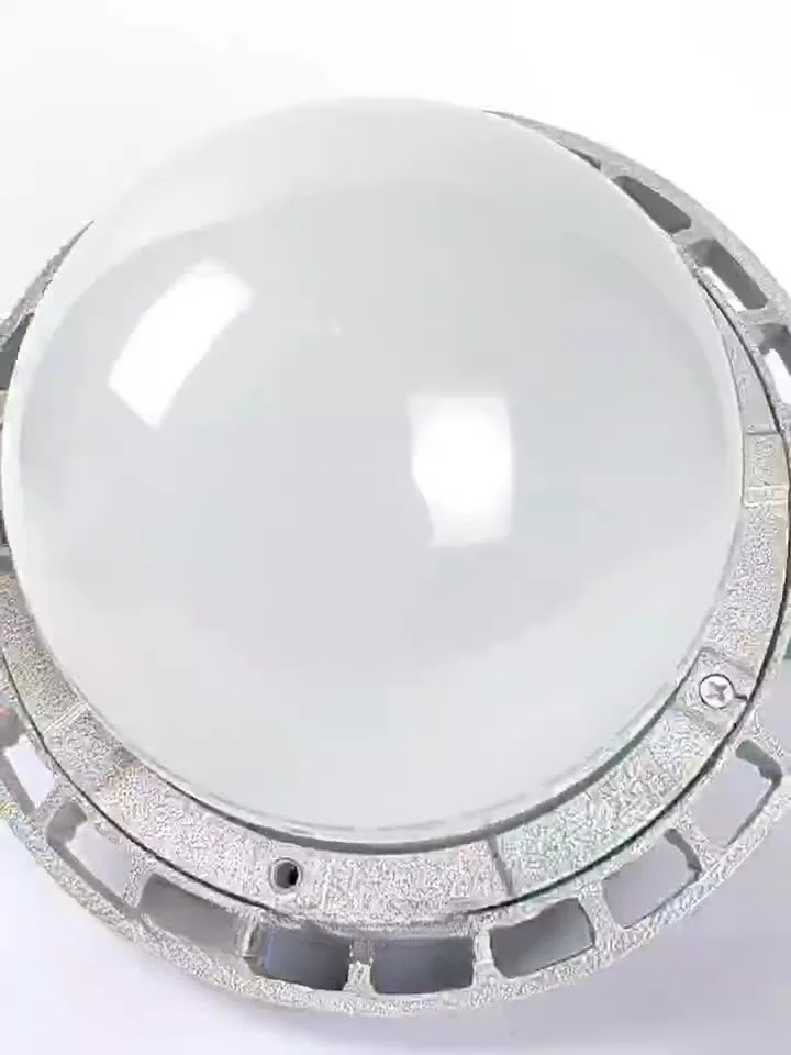 ATEX 70W 80W Grid Encasement Explosion Proof Ceiling Mounted High Bay Light For Power Plants