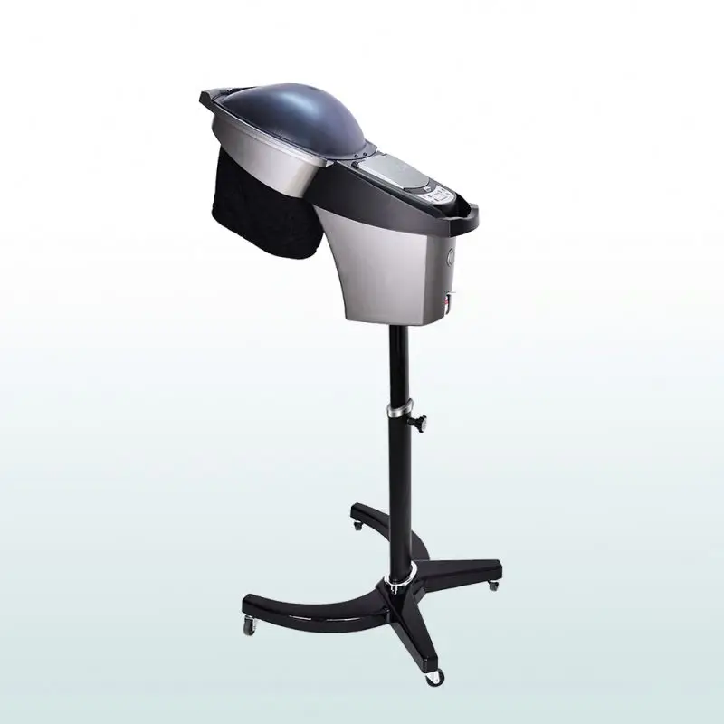 Wall-Mounted Ultrasonic Micro Mist Led Light Nano Mist Hair Steamer Ozone Beauty Salon Hair Steamer