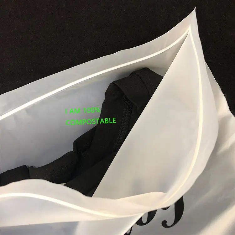 Custom OPP/PE/PVC Resealable Plastic Clear Ziplock Bags Shipping Bags Storage Clothes