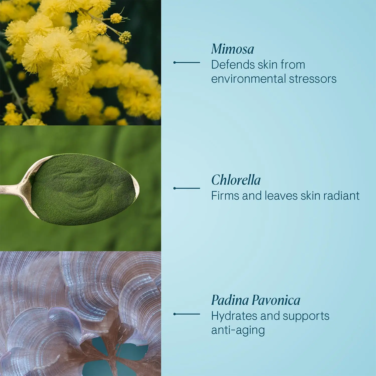 skincare cosmetic moisturizer facial private label whitening vitamins makeup skin peptides face care collagen anti wrinkle cream