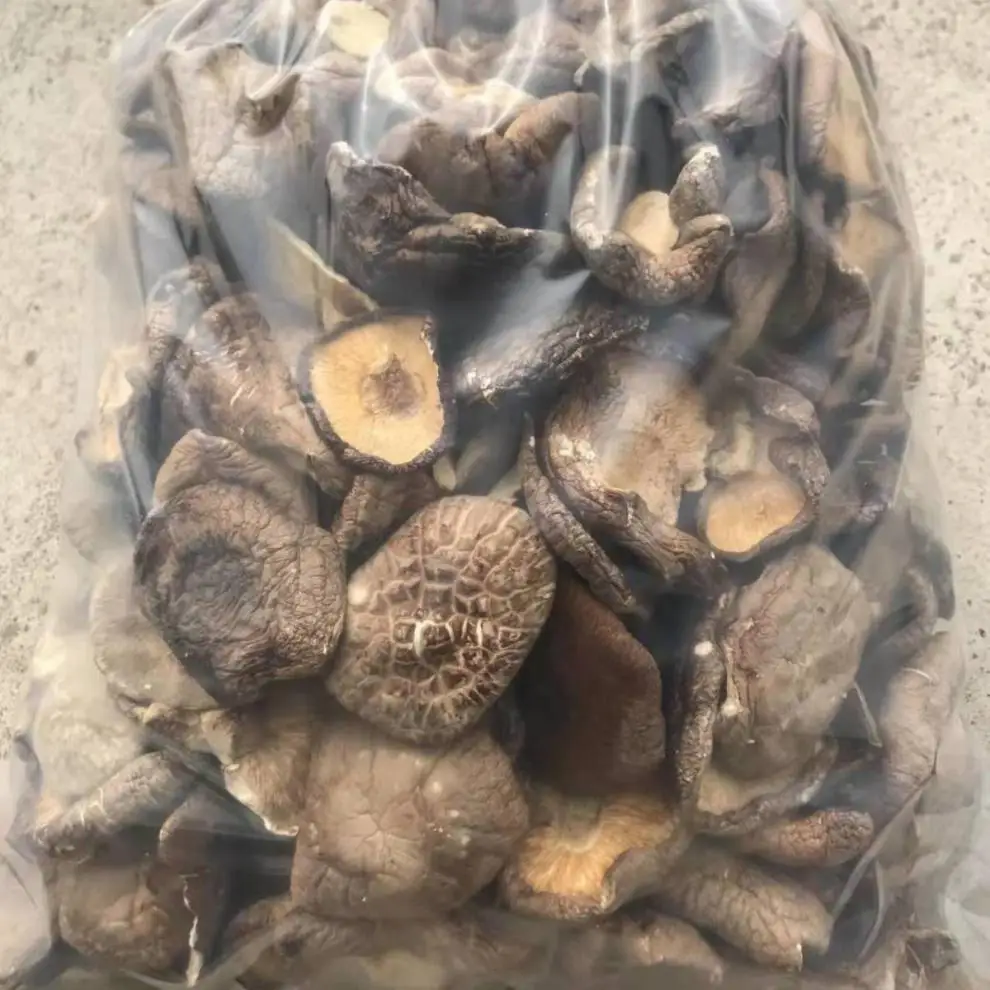 High Quality Dried Mushroom Shiitake Healthy Food Shiitake Mushrooms