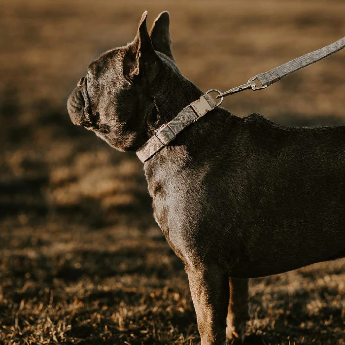 Different Color Tweed Pet Dog Collar and Leash
