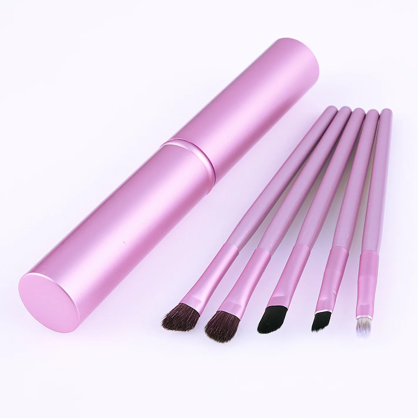 
Skyey Care 5pcs Travel Portable Mini Eyeshadow Makeup Brush Set With Aluminum Box 