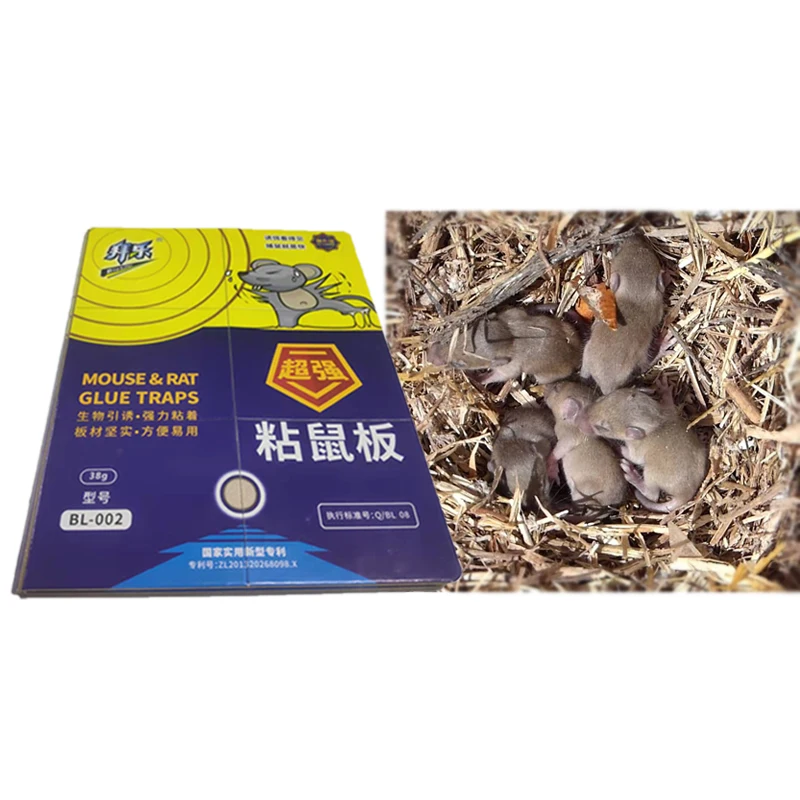 Powerful best quality mouse glue trap mouse glue trap Household rat trap