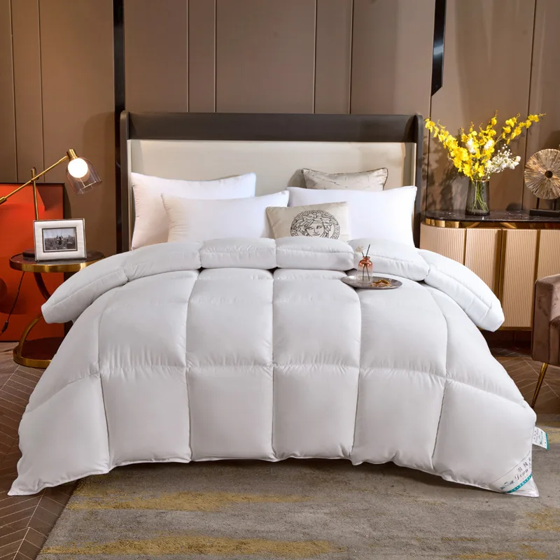 Winter down quilt warm thickening home hotel quilt bedding autumn and winter quilt core cotton