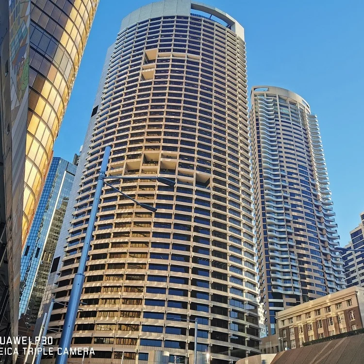 
Curtain Wall System Fire Rated Glass Building Exterior Customized FIVE Steel Anodized 200 Sqm ISO9001 