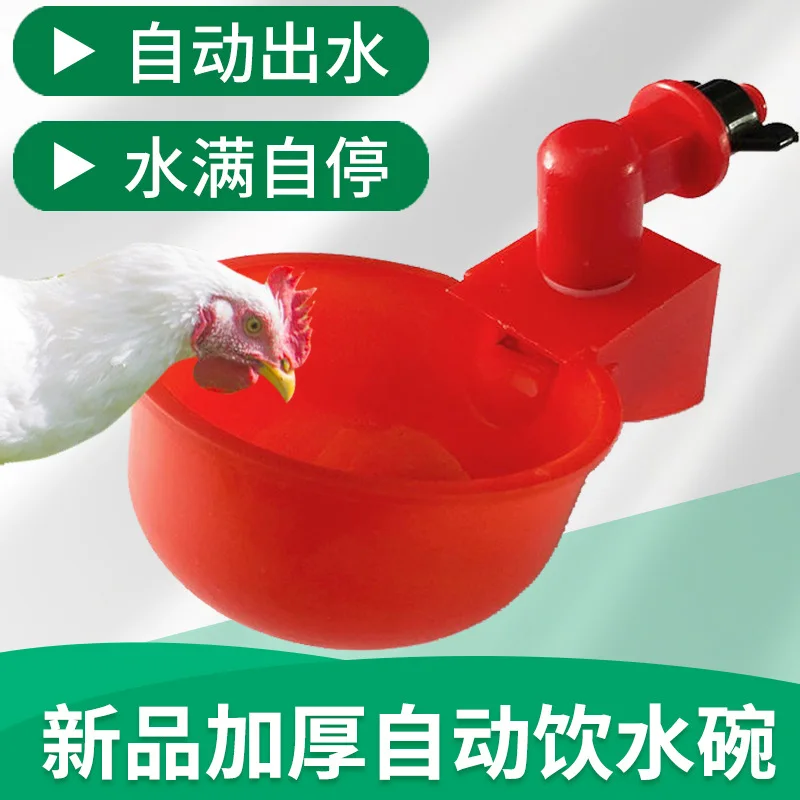 New chicken duck goose poultry automatic drinking bowl drinker feed pigeon water bowl bird drinker quail chicken breeding