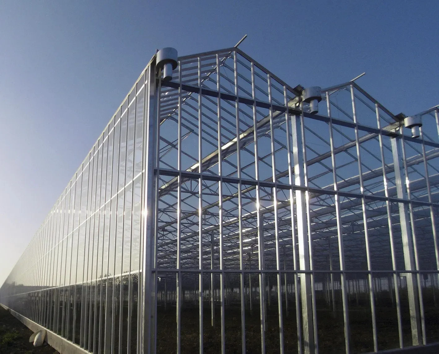 Vertical Venlo Glass Greenhouses with Hydroponics System for Growing Vegetables