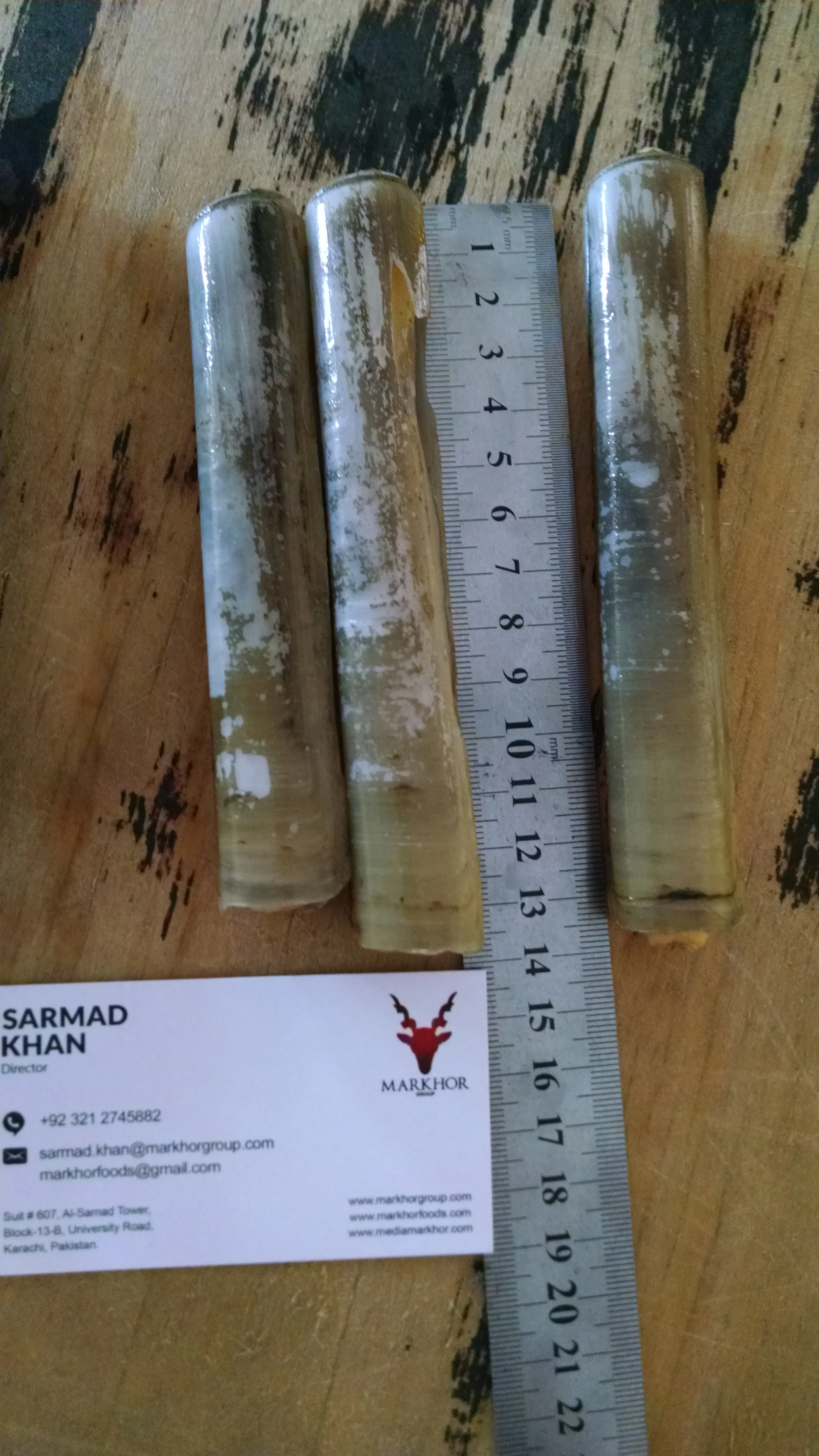 
Live Razor Clam 