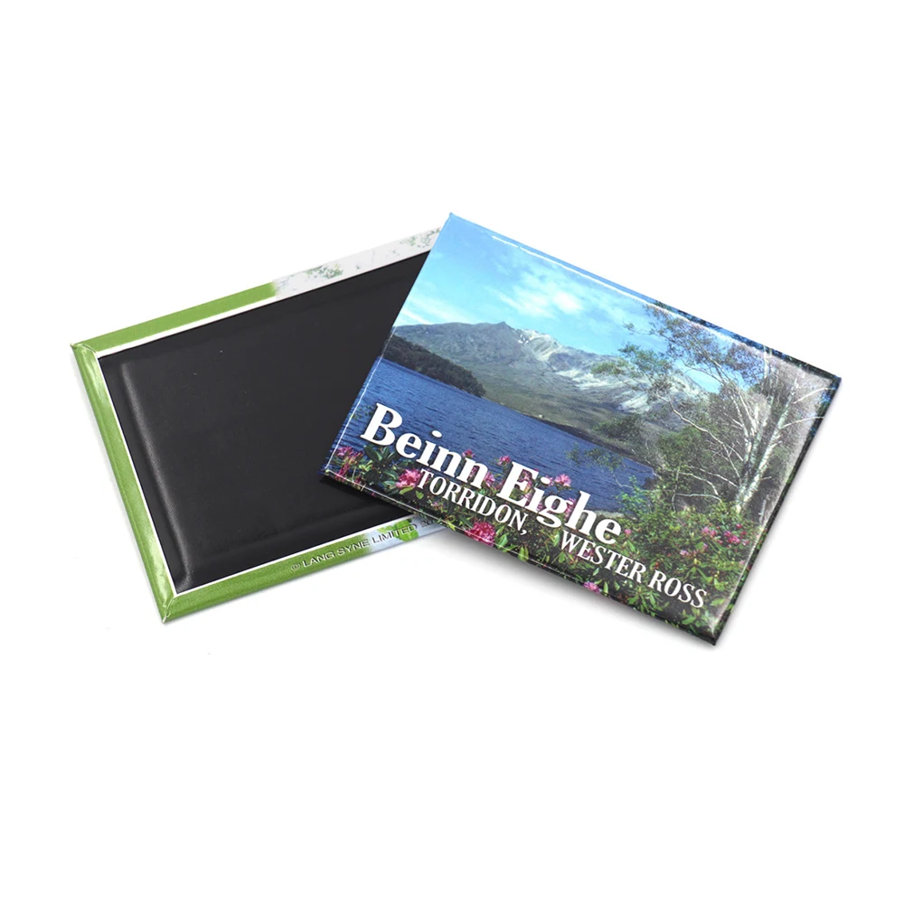 Epoxy Zoo Lion Giraffe Zebra Cartoon Fridge Magnets Customised Logo Promotion Event Souvenir