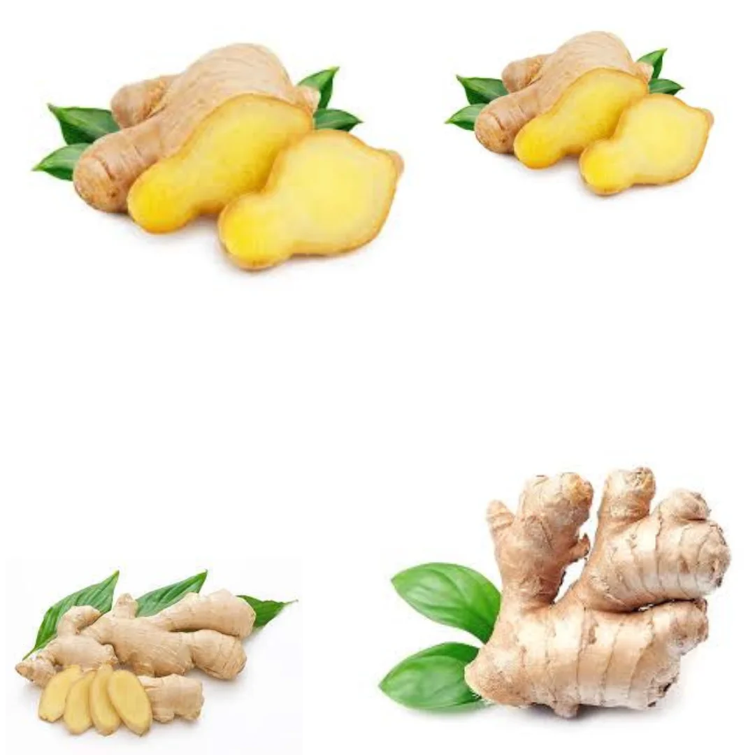 Good Price Ginger Packed In Box From Vietnam Manufacturer, Dry Ginger, Ginger for Sale , Packing Box In Vietnam