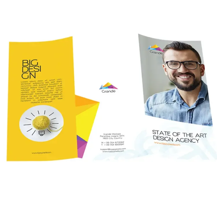 Cheap Brochure  Flyer/leaflet/catalogue/booklet Printing Instruction