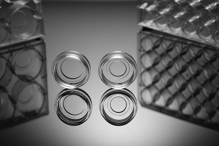 NEST Laboratory 35mm Glass Bottom Cell Culture Dish for Confocal Microscope Cell Observation