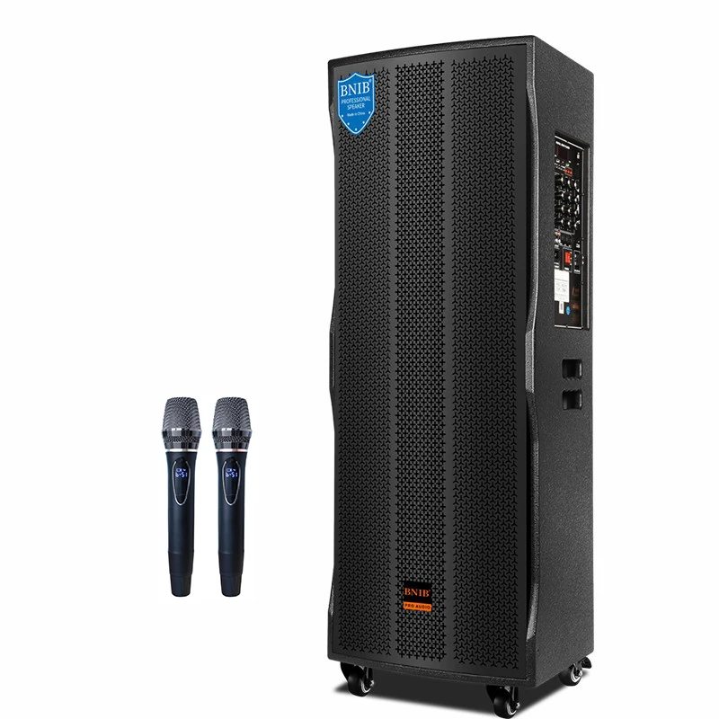 New Arrival 12 Inch Subwoofer Box Speaker Multifunction Portable Party Dj Wireless Trolley Speaker With Mic