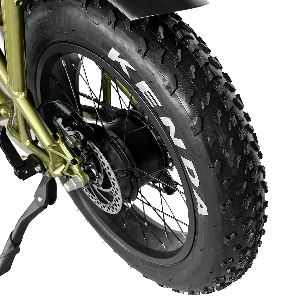 EU Warehouse 20 inch 48V250W motor 7speed long saddle fat tire all terrain vehicle electric bike