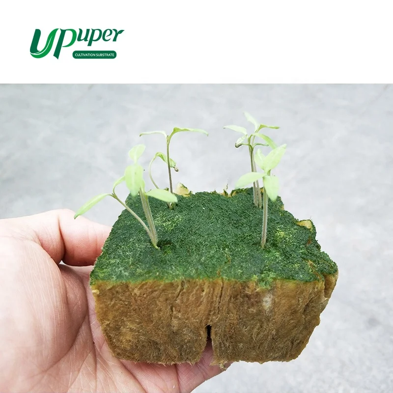 UPuper Cheap Rock Wool Hydroponic Grow Media 1.5x1.5 Inch Each for Vegetable Garden Tower