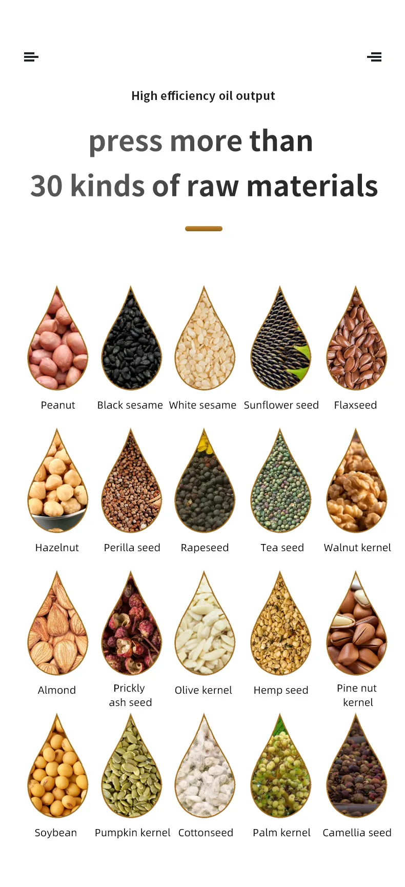 Household Stainless Steel Sesame Peanut Ground Nut Oil Presser/ Oil Press Extraction Pressing Machine