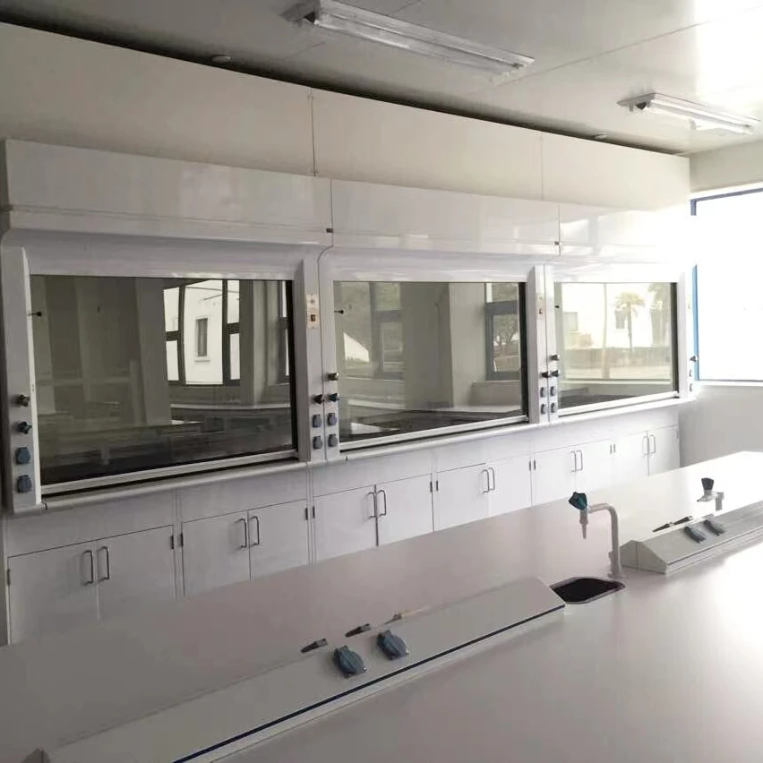 Laboratory furniture steel pp fume hood corrosion resistant durable fume hood