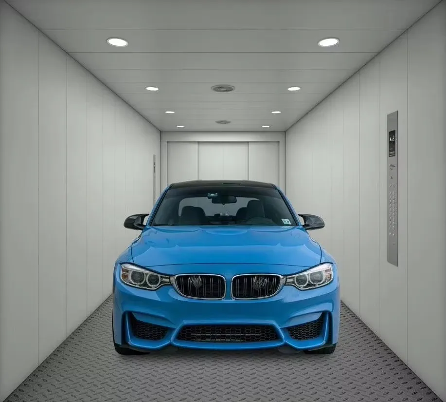 Fuji elevator lift stable car lift elevator 10 passenger ascensor luxury villa passenger lift elevation of villas