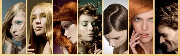 China professional wholesale oem hair dye hair color dye