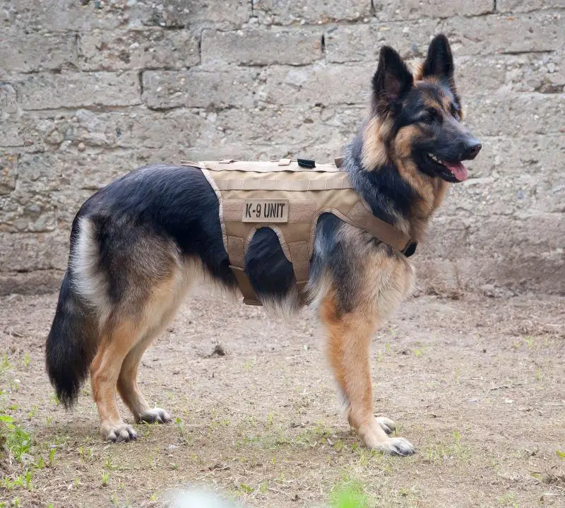 Tactical ultra  K9 Light weight Harness vest Police Military chalecos para Carrier Tactical military vest tactical vest