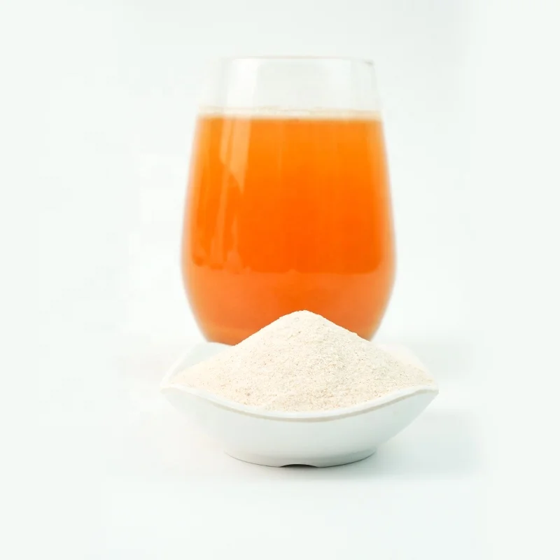 New Arrival fruit juice powder of sour plum powder drink With good service