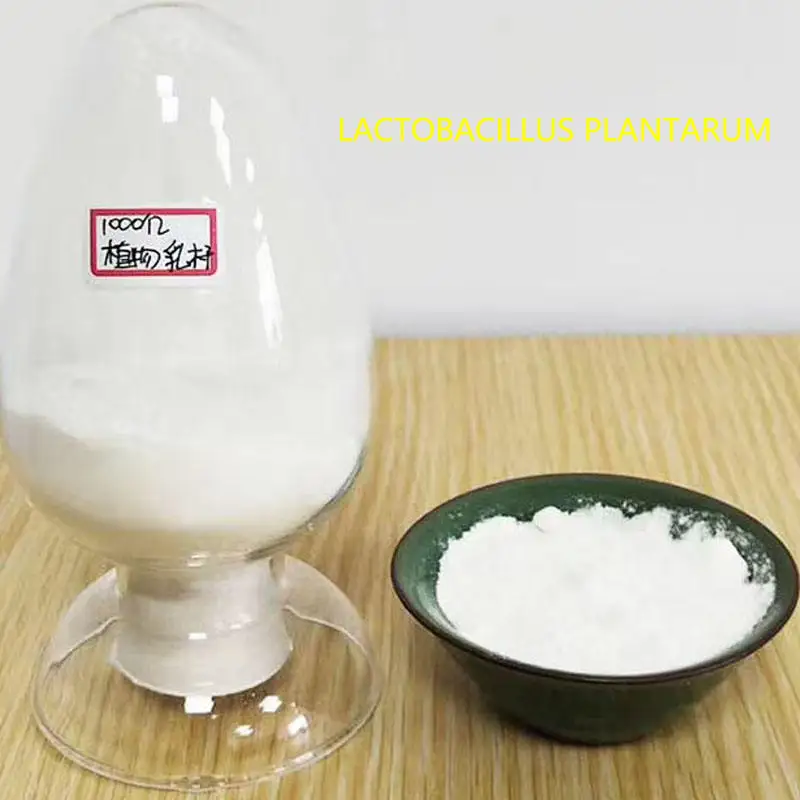 Factory Price Improve Immunity Lactobacillus Plantarum Powder Feed Additives For Chickens