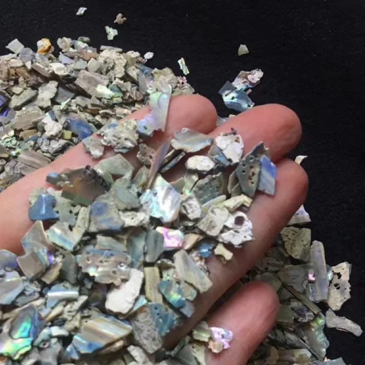 Natural Color Mother Of Pearl Craft Crushed Abalone Shell Sheet Shell Fragment for Nail Art Accessories