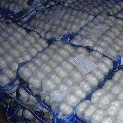 
new croph normal white garlic 