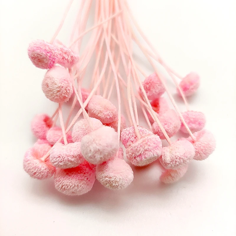 low price wildly used decorative dried flowers wholesale uk mini real tiny natural button flower dried flowers for decoration