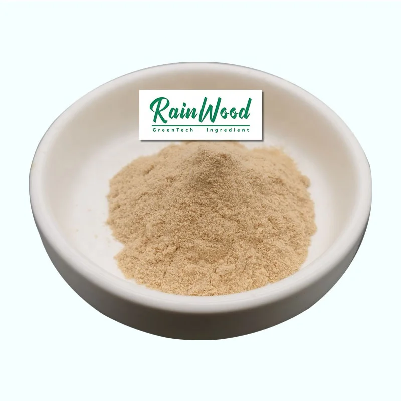 Rainwood supply 100% Natural camellia sinensis extract high quality Tea Saponin Powder water-dissolvent Tee Seeds Extract