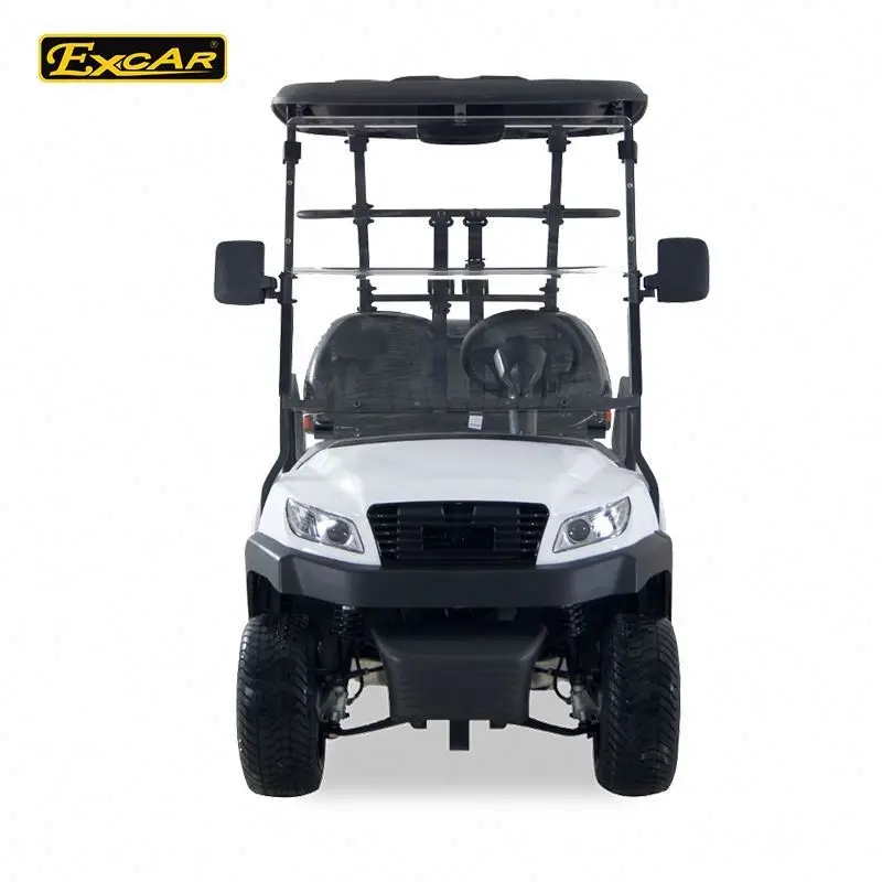 Company 2 seats electric golf shuttle buggy