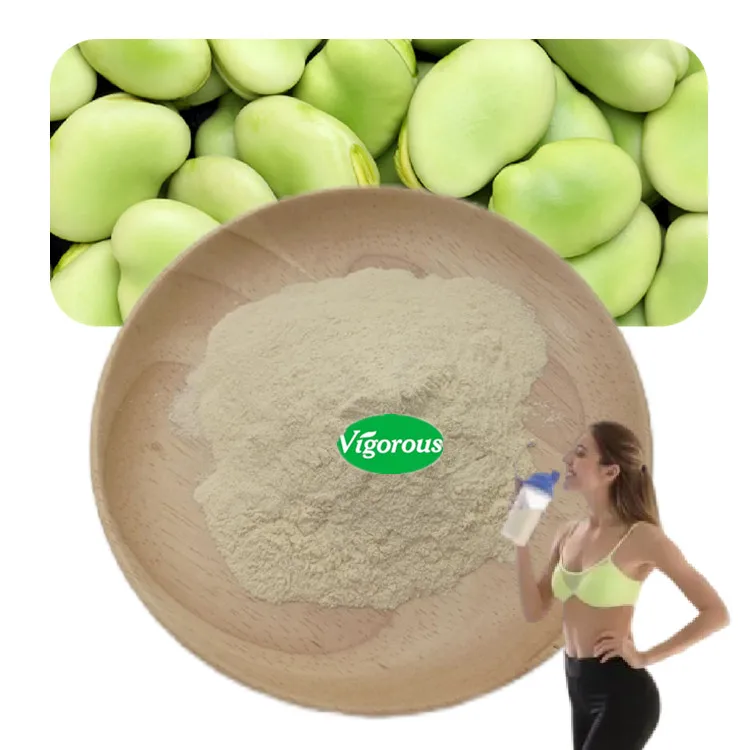 Vicia faba powder broad bean extract powder