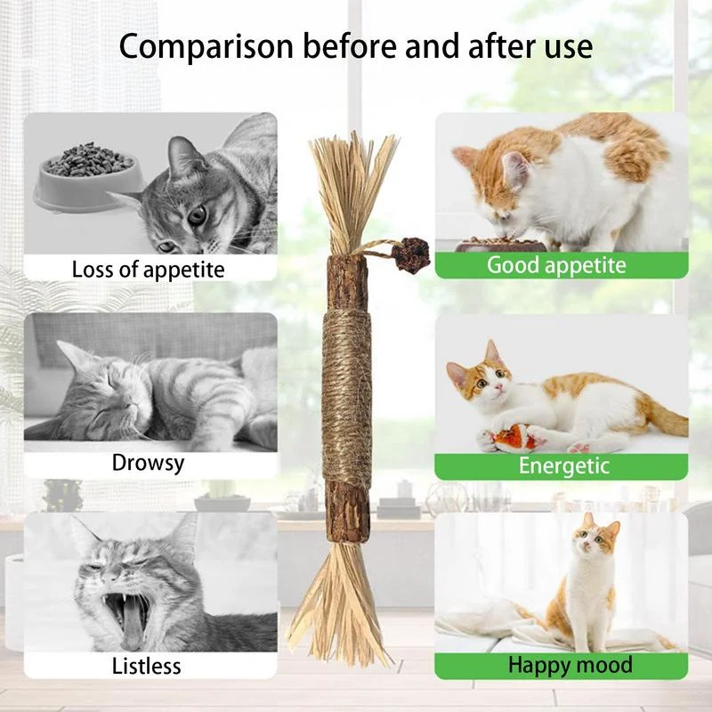 Wholesale Indoor Cat Chew Toys Actinidia Polygama Silvervine Cat Kitten Toy Matatabi Stick