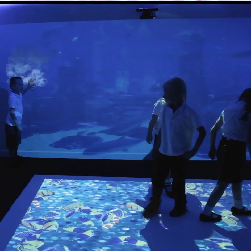 3D Immersive Room Holographic Interactive augmented reality Wall Floor Projection Game