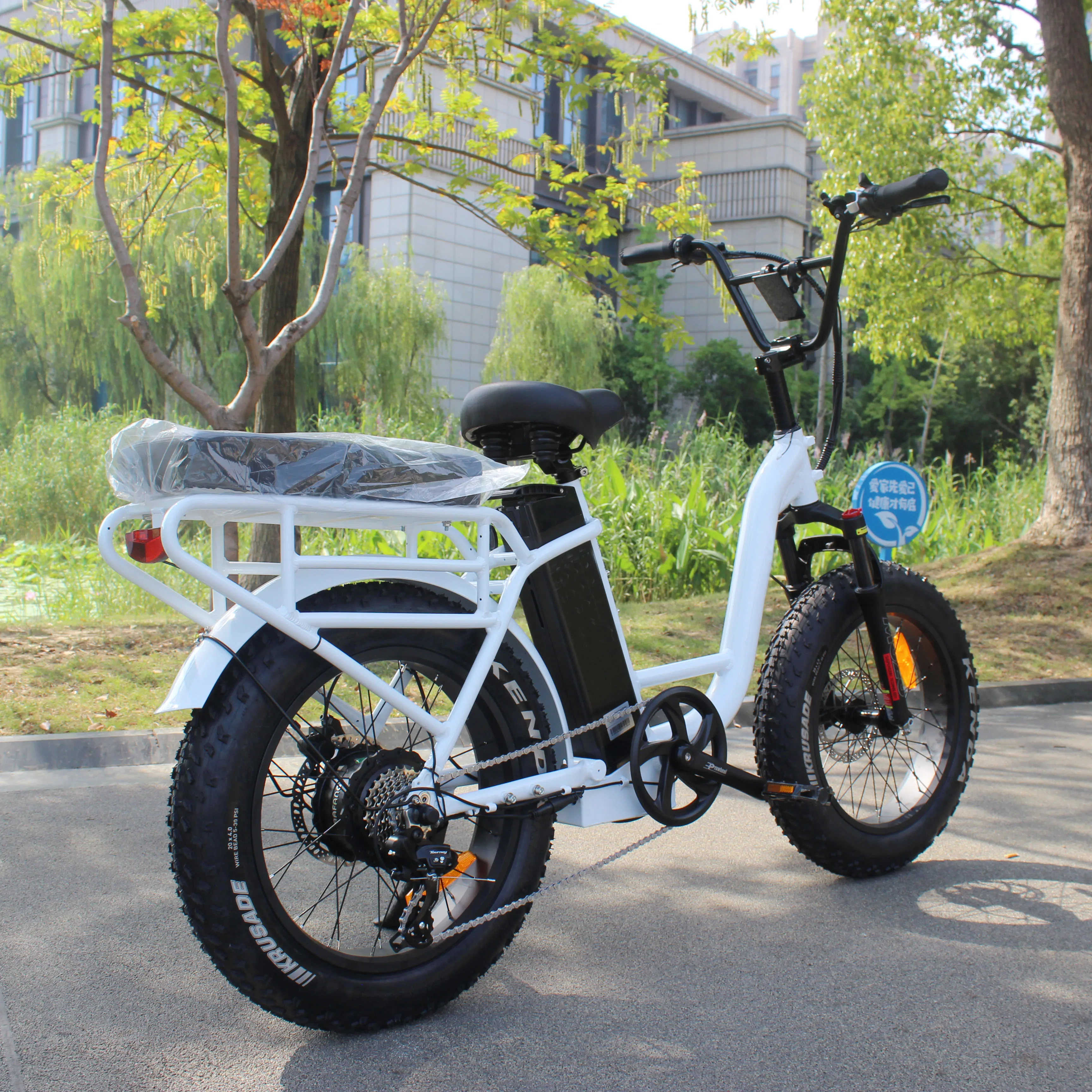 2022 Ristar cycle family double seat electric bicycle 48v 500w 750w ebike snow tire strong powerful samsung battery 20Ah ebike