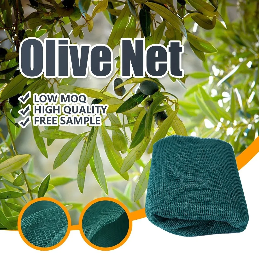 Green Olive Harvest Net Protecting from Fruit Falling Nets plastic olive collect net
