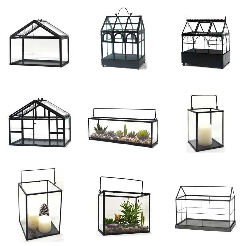 dakang Dome Hanging Plant Geometric Reptiles Do Terrarium Glass For Plants Kit Containers Miniature Wholesale With Lid