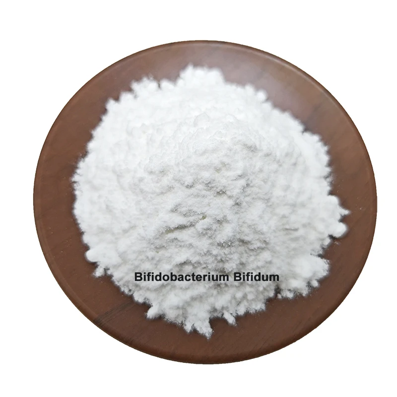 Plant extract Probiotics Freeze Dried Bifidobacterium Bifidum Powder Bifidobacterium Bifidum
