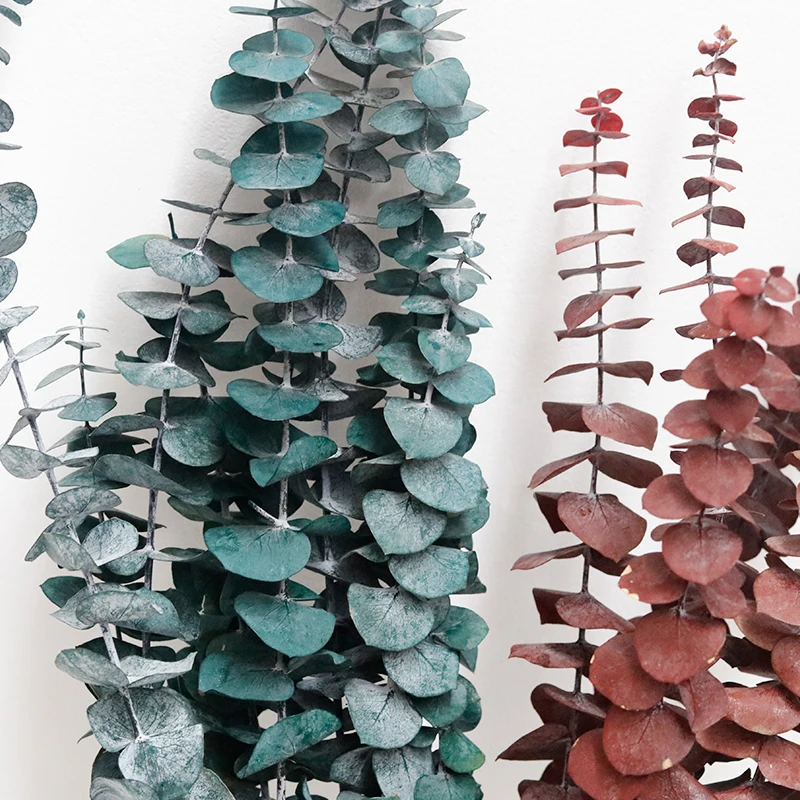 GH-065 Real Touch Natural Preserved Dried Branches Copper Coin Eucalyptus Leaves Baby