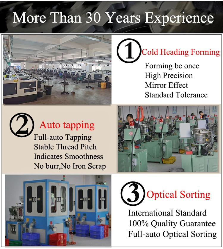 M6 M8 Flat Round Head Bold SS Allen Hex Drive Furniture Bolts Thread Rolling Machine