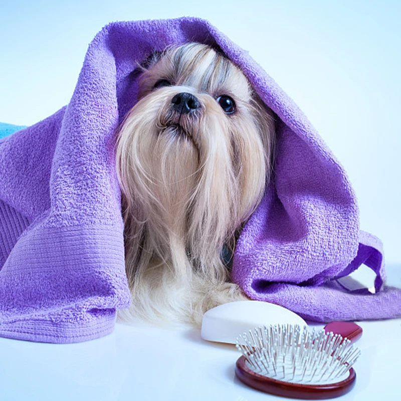 Pet Drying Towel Microfiber Dog Cleaning Drying Coat Dog Bathrobe Super Absorbent Puppy Pet Dog Drying Bath Towel Opp Bag FIBER