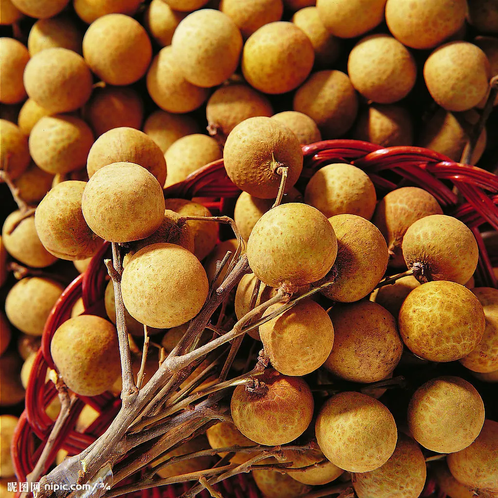 
Canned Longan Fruit in Syrup and Canned Longans 
