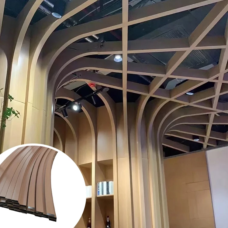 Newly Designed Profile Aluminum Perforated Alloy Living Room Decorative Ceiling Plate