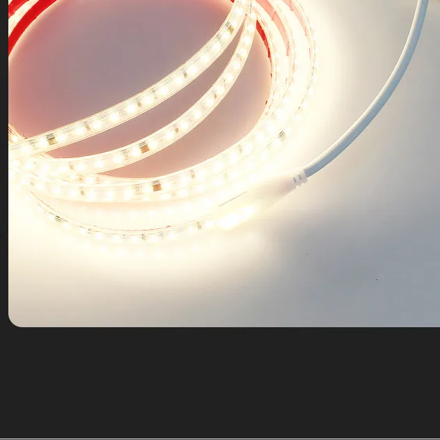 Wholesale Waterproof IP65 RGB Led Strip Light 320leds/m LED Night Light Strips for Indoor Outdoor Lamps