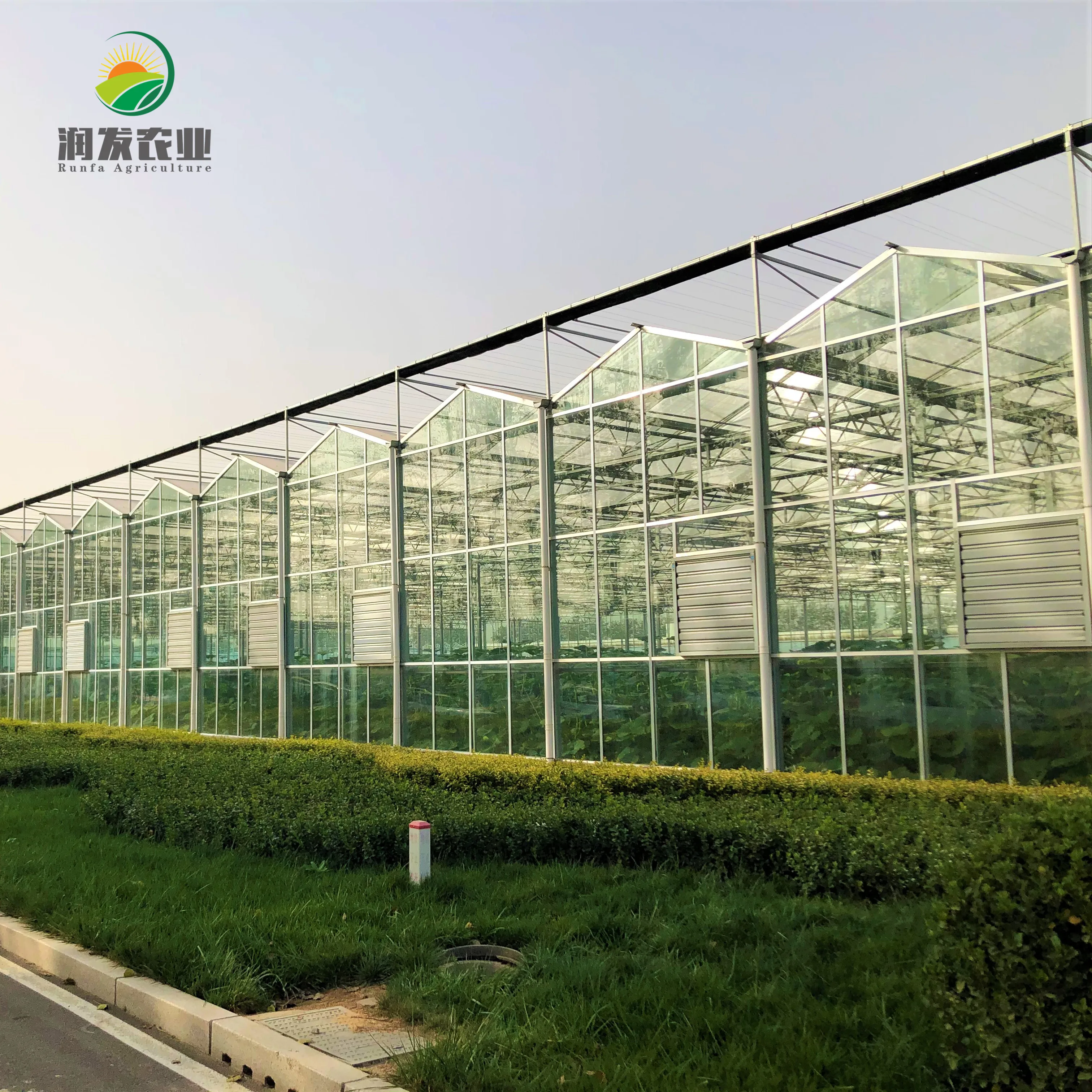 Smart Glass Greenhouse For Soilless Culture System Greenhouses Wholesale