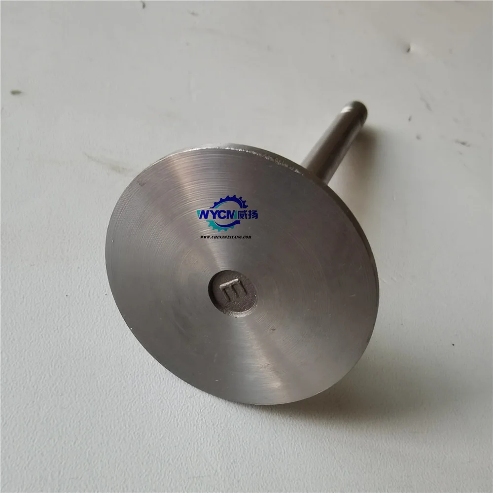 C04AL-04AL602 + C04AL-04AL603 B впускной клапан и выпускной для СДЭК shang чай двигателя