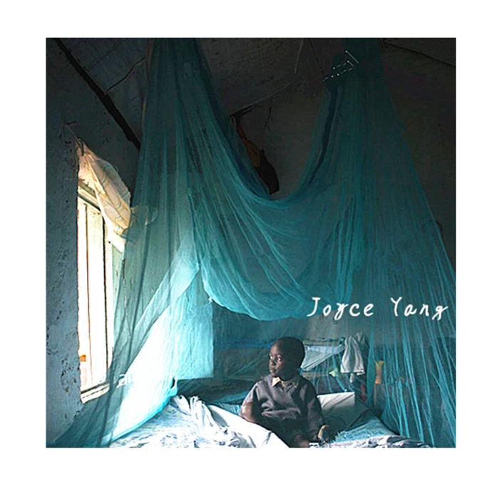 Low Price Long Lasting Insecticide Treated Mosquito Nets/Export to Uganda Africa/ WHO approved mosquito net